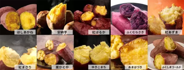 【甘～い焼き芋食べ比べ】10種類ものさつまいもが味わえる♪「日本一のやきいもまつり2025」が2月に開催！