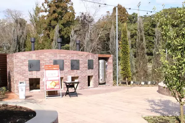 「【甘～い焼き芋食べ比べ】10種類ものさつまいもが味わえる♪「日本一のやきいもまつり2025」が2月に開催！」の画像