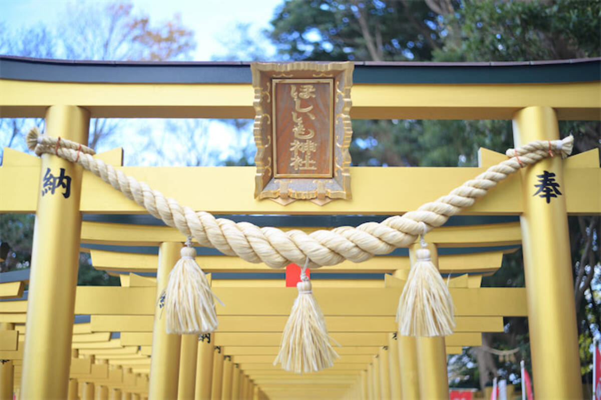 【驚パワースポット】“ほしいもの”が手に入る!?干し芋産地の新宮「ほしいも神社」で開運願ってみた - エキサイトニュース