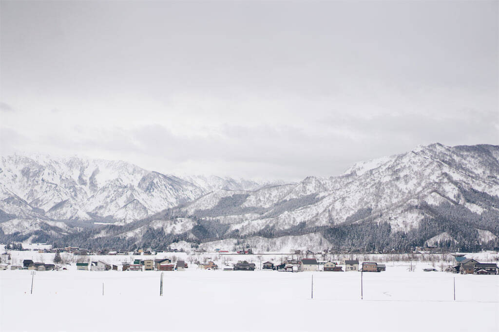 【田園日記～農と人の物語～ Vol.31】震災を乗り越えて生産再開。ぷりぷり食感の「ナメコ」