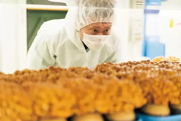 「【田園日記～農と人の物語～ Vol.31】震災を乗り越えて生産再開。ぷりぷり食感の「ナメコ」」の画像