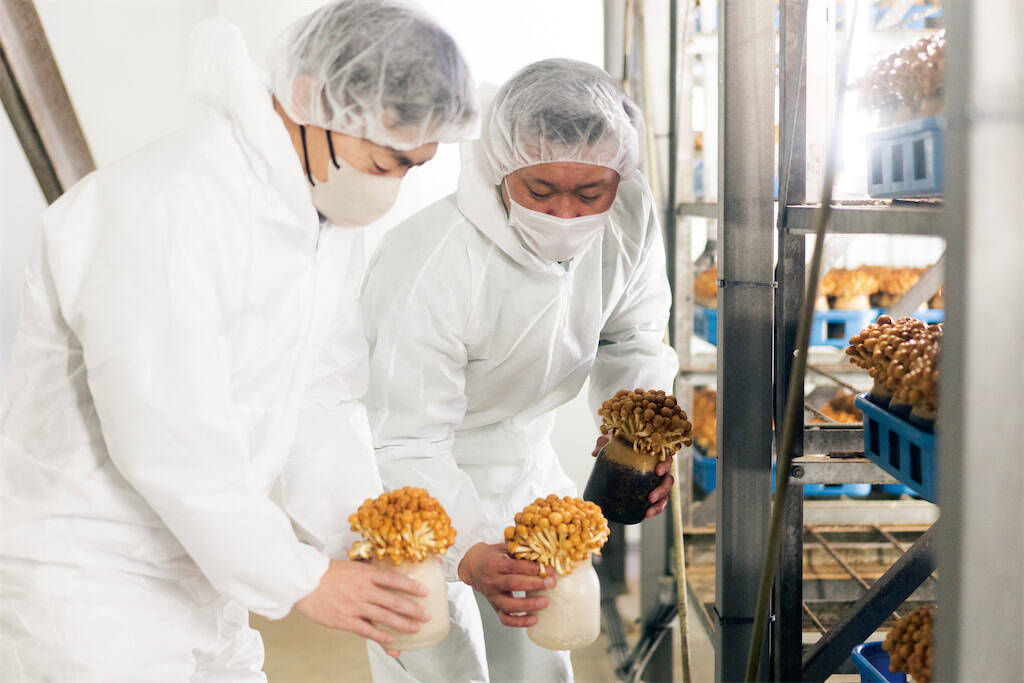 【田園日記～農と人の物語～ Vol.31】震災を乗り越えて生産再開。ぷりぷり食感の「ナメコ」