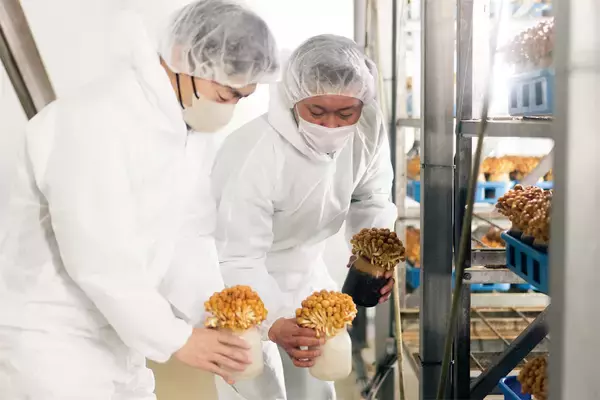 「【田園日記～農と人の物語～ Vol.31】震災を乗り越えて生産再開。ぷりぷり食感の「ナメコ」」の画像