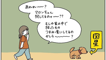 【完全一致】シラを切る達人だった愛犬の思い出…うちの誰かさんとそっくりそのままだった話【momoの漫画】