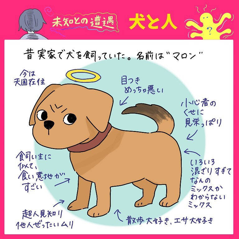 【完全一致】シラを切る達人だった愛犬の思い出…うちの誰かさんとそっくりそのままだった話【momoの漫画】