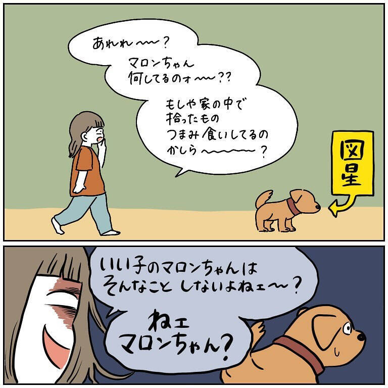 【完全一致】シラを切る達人だった愛犬の思い出…うちの誰かさんとそっくりそのままだった話【momoの漫画】