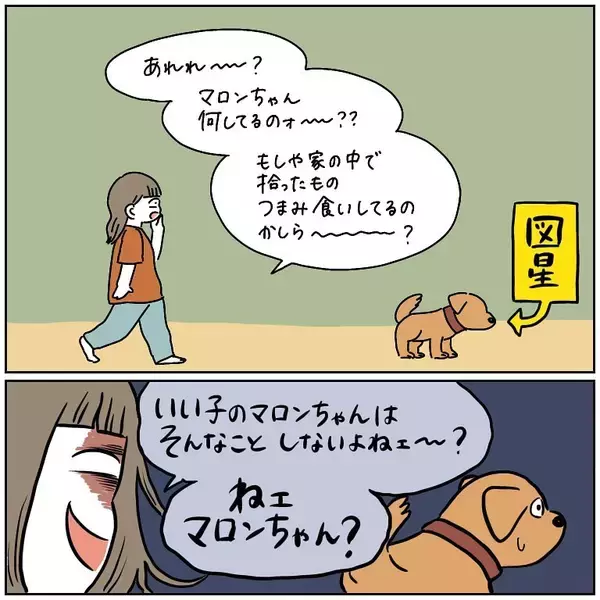 「【完全一致】シラを切る達人だった愛犬の思い出…うちの誰かさんとそっくりそのままだった話【momoの漫画】」の画像