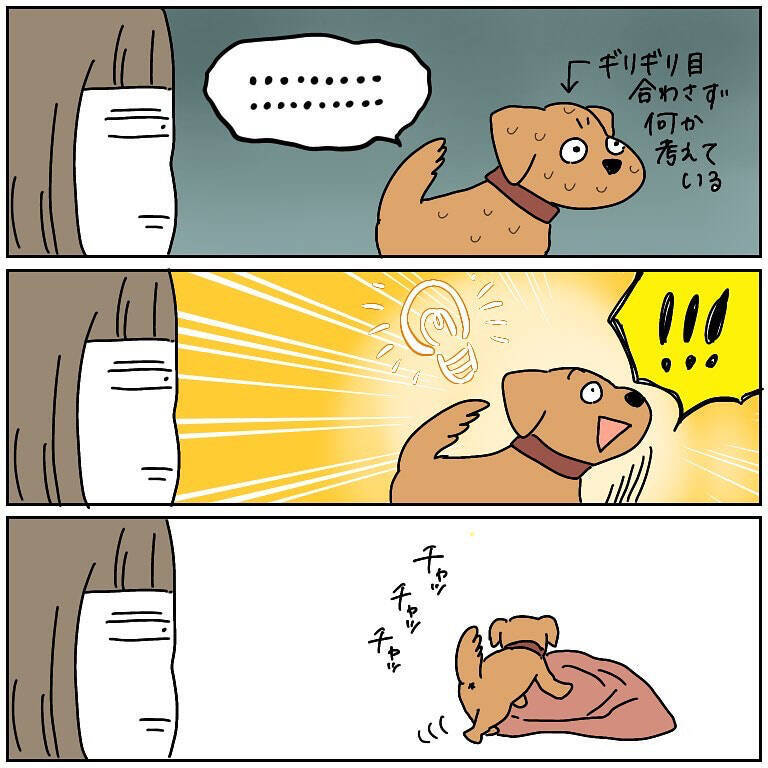 【完全一致】シラを切る達人だった愛犬の思い出…うちの誰かさんとそっくりそのままだった話【momoの漫画】
