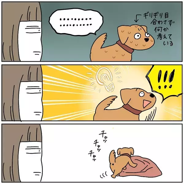 「【完全一致】シラを切る達人だった愛犬の思い出…うちの誰かさんとそっくりそのままだった話【momoの漫画】」の画像
