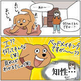 「【完全一致】シラを切る達人だった愛犬の思い出…うちの誰かさんとそっくりそのままだった話【momoの漫画】」の画像6