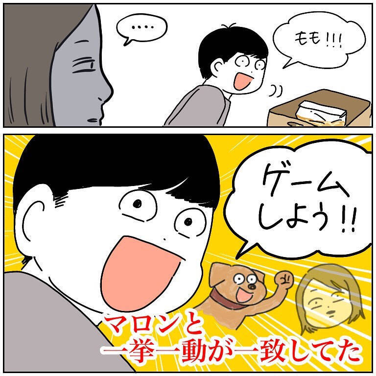【完全一致】シラを切る達人だった愛犬の思い出…うちの誰かさんとそっくりそのままだった話【momoの漫画】