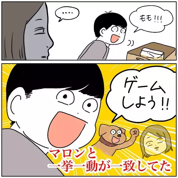 「【完全一致】シラを切る達人だった愛犬の思い出…うちの誰かさんとそっくりそのままだった話【momoの漫画】」の画像
