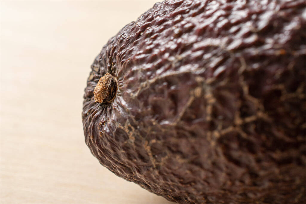 【青髪のテツ】「アボカドの”超”保存マニュアル伝授します！」え、そのまま冷蔵庫NG!?冷凍もできちゃう!?