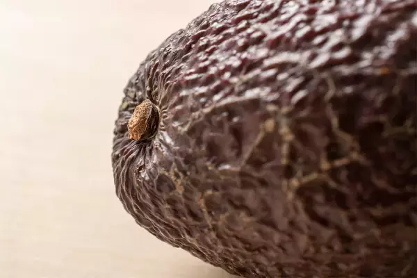 「【青髪のテツ】「アボカドの”超”保存マニュアル伝授します！」え、そのまま冷蔵庫NG!?冷凍もできちゃう!?」の画像