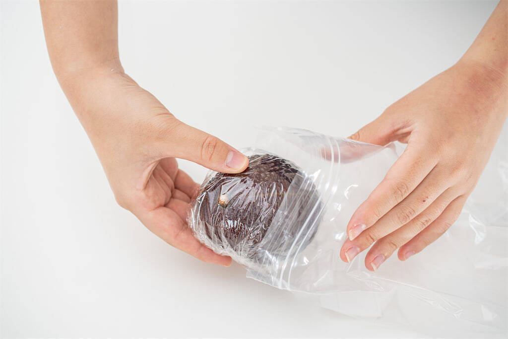 【青髪のテツ】「アボカドの”超”保存マニュアル伝授します！」え、そのまま冷蔵庫NG!?冷凍もできちゃう!?