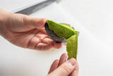 「【青髪のテツ】「アボカドの”超”保存マニュアル伝授します！」え、そのまま冷蔵庫NG!?冷凍もできちゃう!?」の画像8