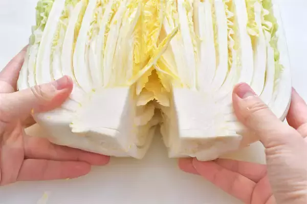 【青髪のテツ】白菜の"葉の間"を超カンタンに洗う裏ワザ「根元からパキっと！」万が一の汚れを一網打尽♪