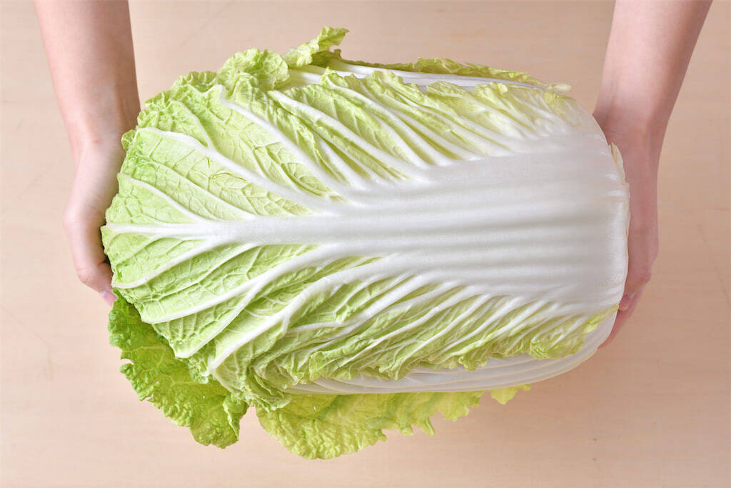 【青髪のテツ】白菜の"葉の間"を超カンタンに洗う裏ワザ「根元からパキっと！」万が一の汚れを一網打尽♪