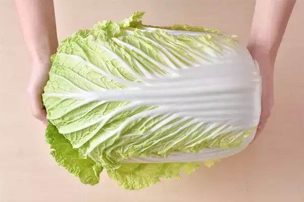 「【青髪のテツ】白菜の"葉の間"を超カンタンに洗う裏ワザ「根元からパキっと！」万が一の汚れを一網打尽♪」の画像