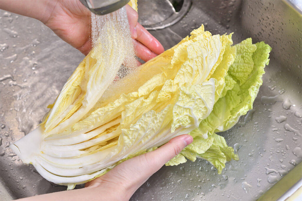 【青髪のテツ】白菜の"葉の間"を超カンタンに洗う裏ワザ「根元からパキっと！」万が一の汚れを一網打尽♪