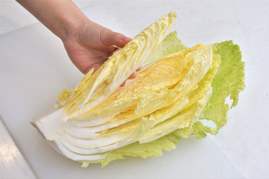 【青髪のテツ】白菜の"葉の間"を超カンタンに洗う裏ワザ「根元からパキっと！」万が一の汚れを一網打尽♪