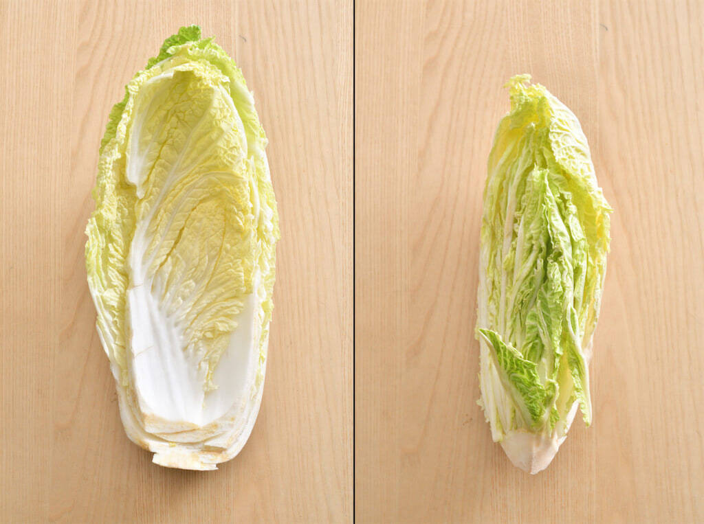 【青髪のテツ】白菜の"葉の間"を超カンタンに洗う裏ワザ「根元からパキっと！」万が一の汚れを一網打尽♪