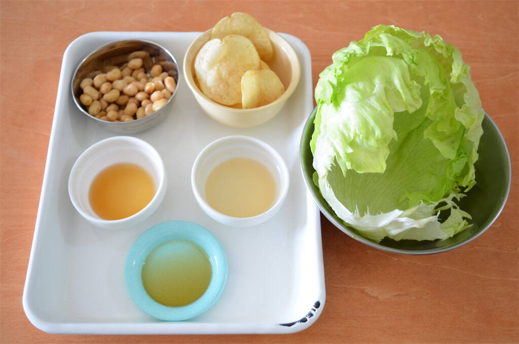 え、ポテチをサラダに入れるの!?「やみつき大豆サラダ」作ってみた！パリシャキ食感に野菜嫌いも歓喜♪【農家直伝】