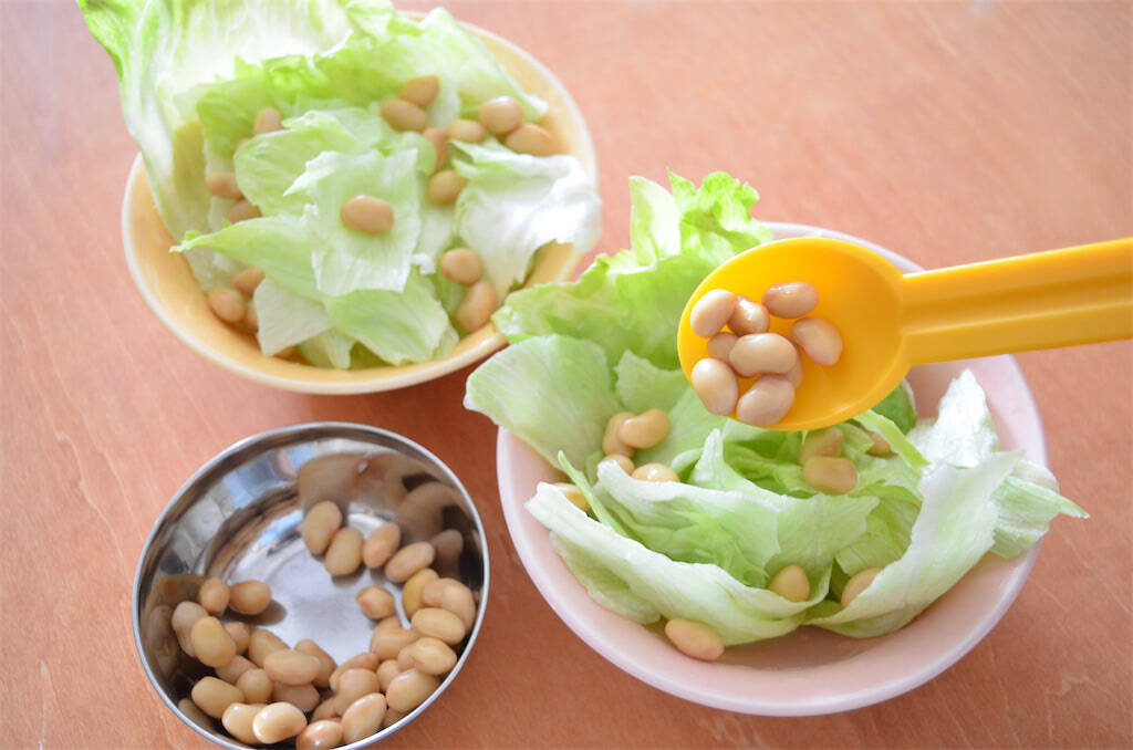 え、ポテチをサラダに入れるの!?「やみつき大豆サラダ」作ってみた！パリシャキ食感に野菜嫌いも歓喜♪【農家直伝】