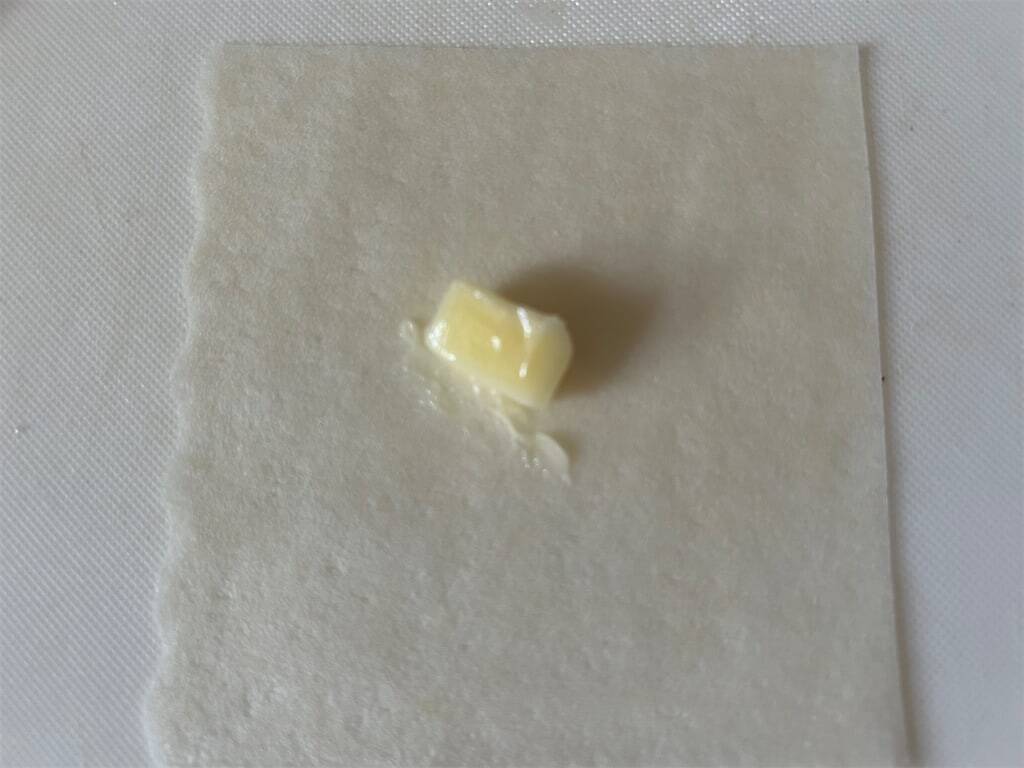 【揚げない春巻き】作ろう！もやし餡でヘルシーさ増し増し♡コスパ＆時短も叶う【え、焼きは魚焼きグリルで!?】