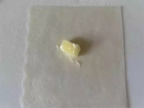 「【揚げない春巻き】作ろう！もやし餡でヘルシーさ増し増し♡コスパ＆時短も叶う【え、焼きは魚焼きグリルで!?】」の画像