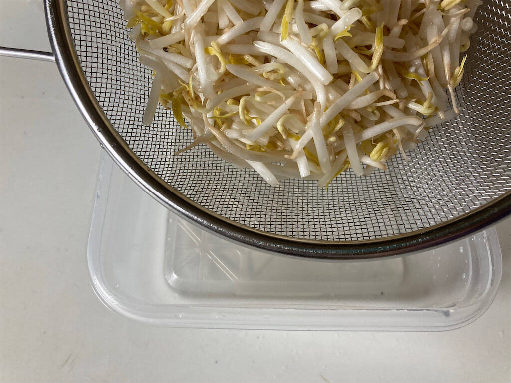 【揚げない春巻き】作ろう！もやし餡でヘルシーさ増し増し♡コスパ＆時短も叶う【え、焼きは魚焼きグリルで!?】