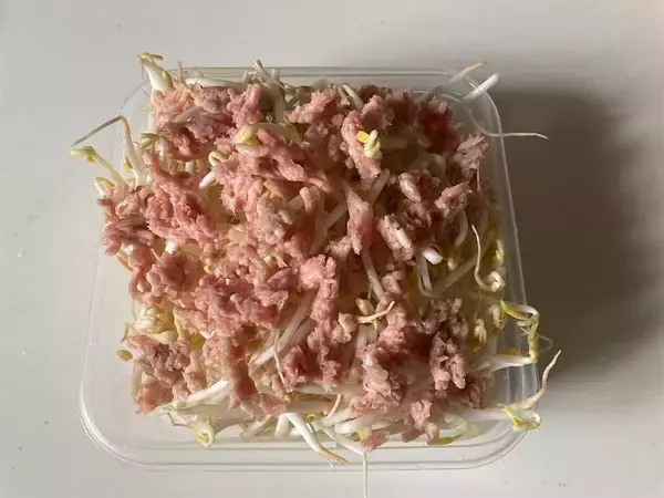 「【揚げない春巻き】作ろう！もやし餡でヘルシーさ増し増し♡コスパ＆時短も叶う【え、焼きは魚焼きグリルで!?】」の画像