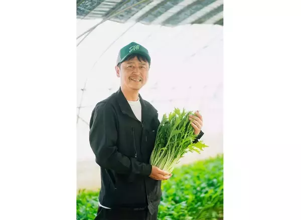 「【田園日記～農と人の物語～】シャキシャキとした食感が心地よい「みず菜」」の画像