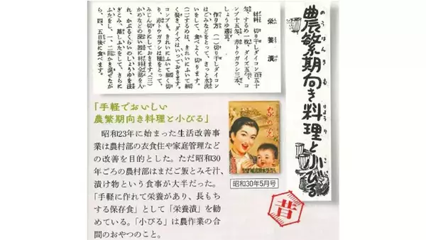 「【昭和30年のエナジーフード】疲れを吹き飛ばす「栄養漬」にトライ！乾物で作れて日持ちするって最強やん？」の画像