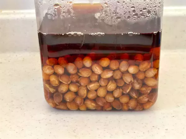 「【昭和30年のエナジーフード】疲れを吹き飛ばす「栄養漬」にトライ！乾物で作れて日持ちするって最強やん？」の画像