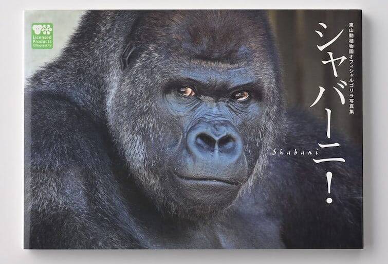 【シニア世代こそ推し活】動物のかわいい姿にキュン♡「動物園」の人気者から「SNS上のペット」まで推せる！