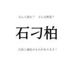 「春から初夏【野菜の漢字クイズ】「石刁柏」はなんて読む？漢字の由来は？旬の時期や生産地、栄養など…豆情報も！」の画像1
