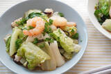 「【サラダの定番を炒める】「ロメインレタス」を“和風炒め”にしたら…シャキ旨でアリ寄りのアリ！【農家直伝】」の画像10