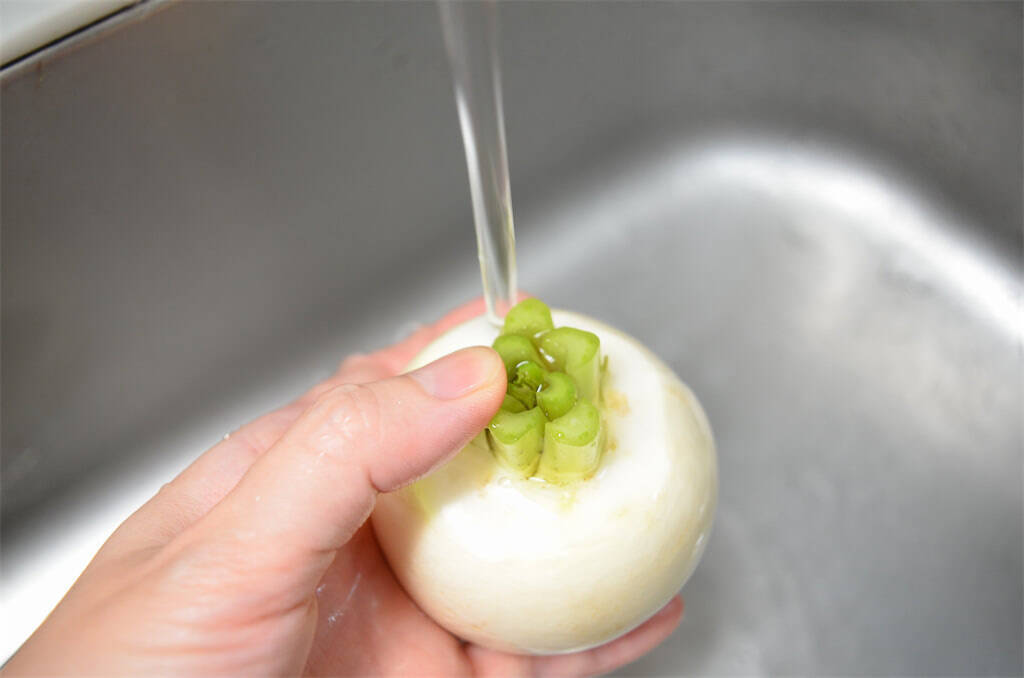 【旬のかぶでガッツリ系】にんにくマシマシ「かぶのガーリックソテー」作ってみた！オイスターがいい仕事♡