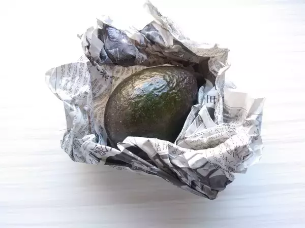 「【新常識】アボカドは「緑色」を選ぶのが正解!?買った後の保存は…え、そんな方法で？【農家直伝】」の画像