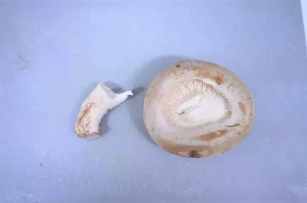 「【肉汁と旨味の爆弾！】◯◯ネーズで剥がれずふっくら「椎茸バーグ」作ってみた！ねぎダレ絡めばもう最強♪」の画像