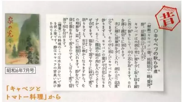 「【昭和初期の豪快キャベツ料理】丸ごと1個切って炒めて煮るだけ！「キャベツのやわらか煮」が極甘だった話」の画像
