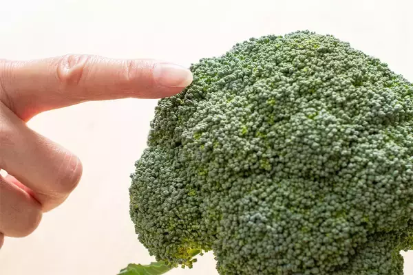 「【青髪のテツ】「紫色のブロッコリーは傷んでる…は大間違い！むしろ買いです」甘～い証拠って本当…!?」の画像