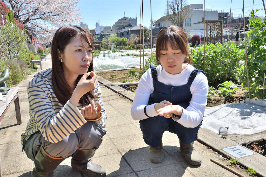 【にちにち農ガール】ザ・ラスト農作業！春の「豆」を収穫＆いただきます♪1年間の活動を経て新たな感情が…