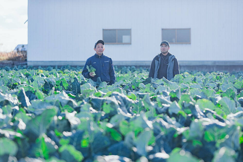 【農家がビビッときたパスタ】ごろごろブロッコリーが主役の「ペペロンチーノ」を紹介♪新鮮ならもう最強♡