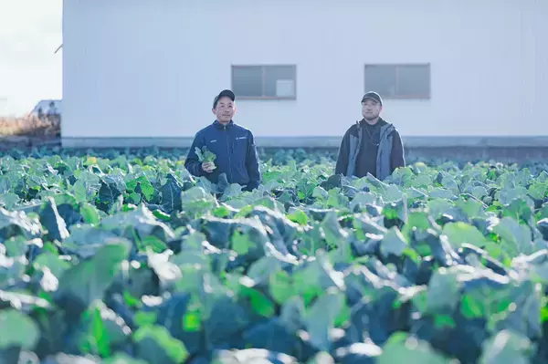 「【農家がビビッときたパスタ】ごろごろブロッコリーが主役の「ペペロンチーノ」を紹介♪新鮮ならもう最強♡」の画像