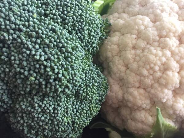 野菜の漢字クイズ 花椰菜 の読み方は その由来は 旬や生産地 栄養や保存法など 豆情報も 22年3月6日 エキサイトニュース 野菜の漢字クイズ 花椰菜 の読み方は その由来は 旬や生産地 栄養や保存法など 豆情報も 22年3月6日 エキサイトニュース