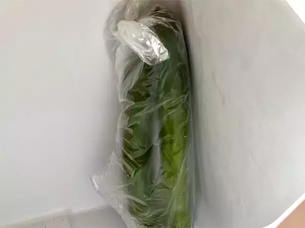 「【半世紀前のレシピ再現】昭和の「きゅうりのあんかけ」が意外すぎるウマさ！トロッと食感が、え、新しい!?」の画像