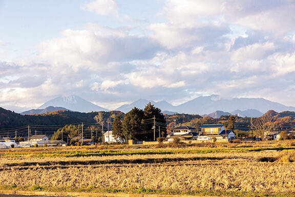 【田園日記～農と人の物語～ Vol.27】冬から春にかけ、幅広で肉厚になる「鹿沼にら」