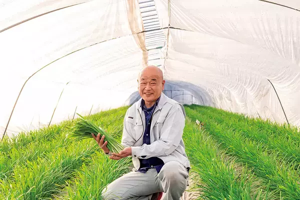 「【田園日記～農と人の物語～ Vol.27】冬から春にかけ、幅広で肉厚になる「鹿沼にら」」の画像